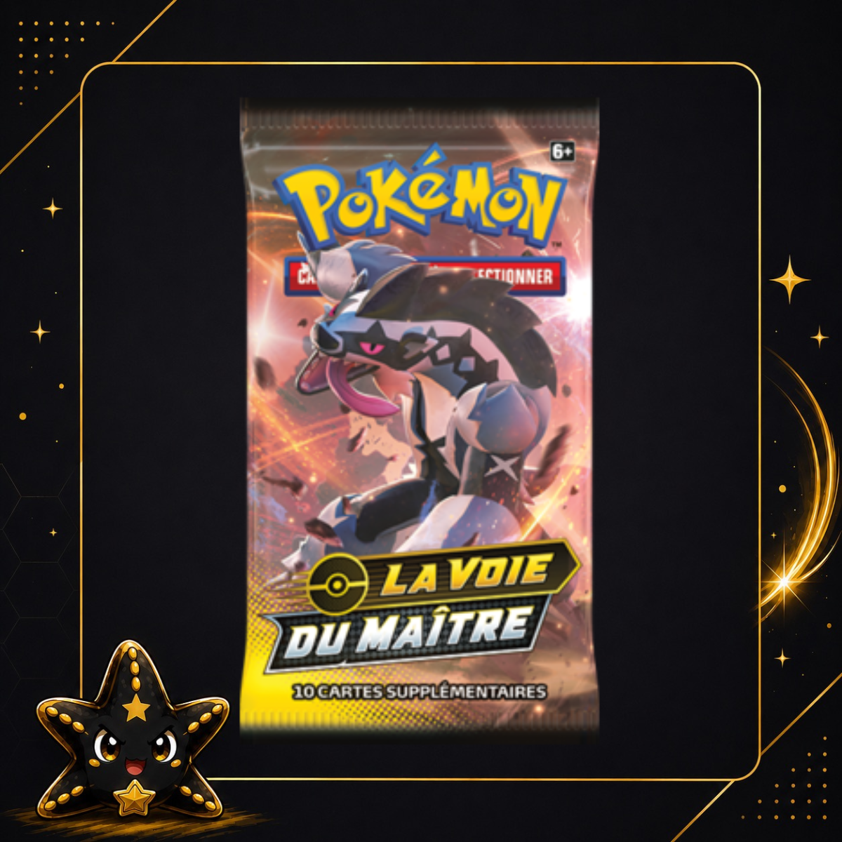 Booster Pokémon : Epée et Bouclier - La Voie du Maître FR